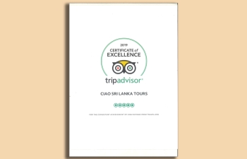 Tripadvisor certificate of excellence 2019